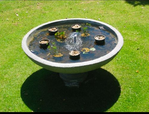 IMG_1059.jpeg IMG_1059.jpeg