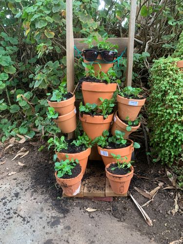 C9AB743F-594D-4593-A565-F13AE4E9B9D6.jpeg C9AB743F-594D-4593-A565-F13AE4E9B9D6.jpeg