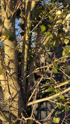 IMG_0897.jpeg IMG_0897.jpeg