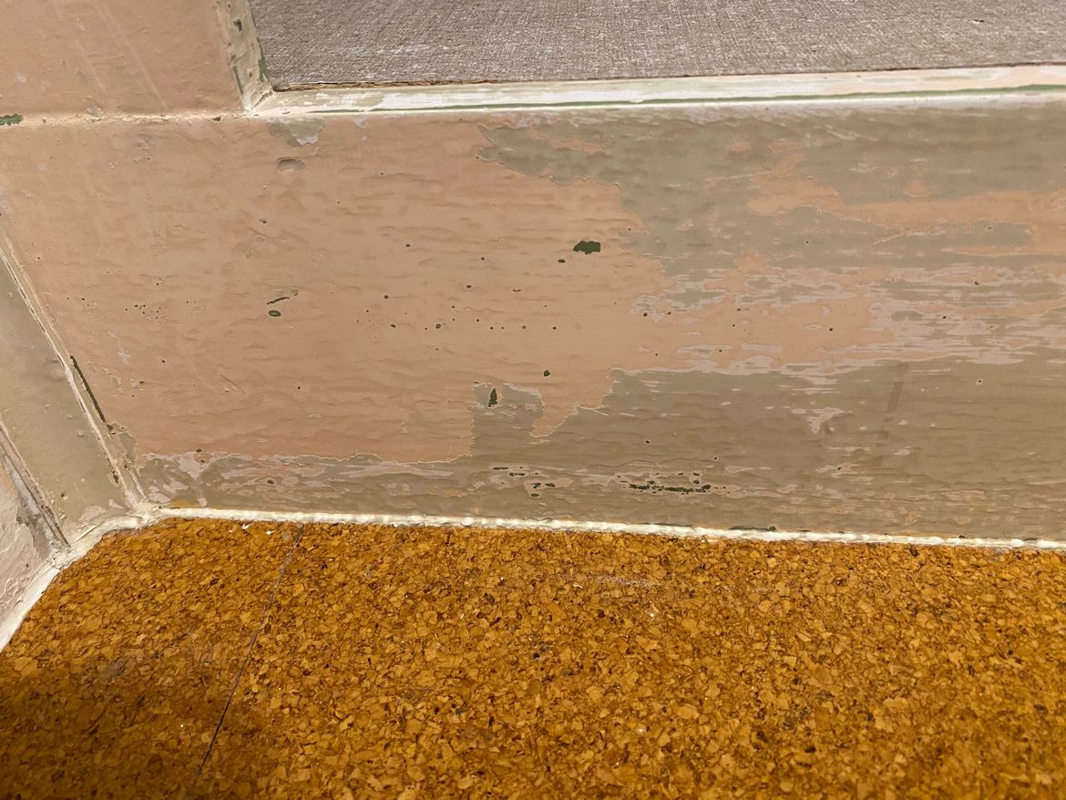 IMG_2736.jpg IMG_2736.jpg