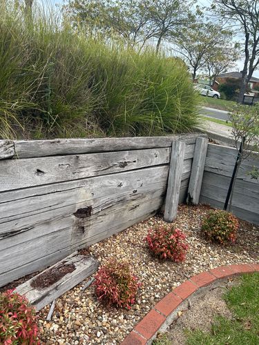 IMG_5242.jpeg IMG_5242.jpeg