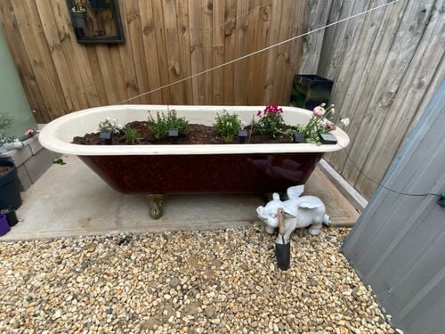 IMG_3508.jpeg IMG_3508.jpeg