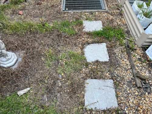 IMG_9117.jpeg IMG_9117.jpeg