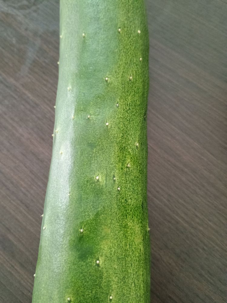 IMG_20251215_080124389.jpg IMG_20251215_080124389.jpg