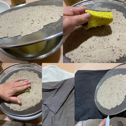 BE75815B-B1EB-46BB-A218-99C4927DC1E4.jpeg BE75815B-B1EB-46BB-A218-99C4927DC1E4.jpeg