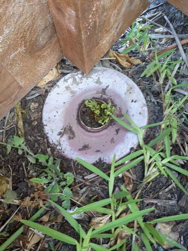 1000020673.jpg 1000020673.jpg