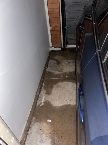 IMG_0727.jpeg IMG_0727.jpeg