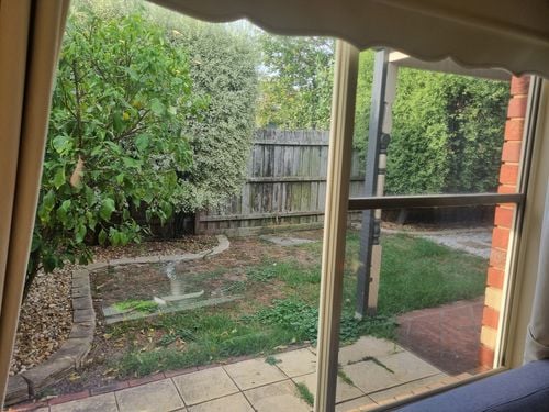 1000015313.jpg 1000015313.jpg