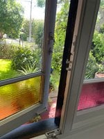 B84BAD11-8672-4E25-8EFD-646905AF8D05.jpeg B84BAD11-8672-4E25-8EFD-646905AF8D05.jpeg