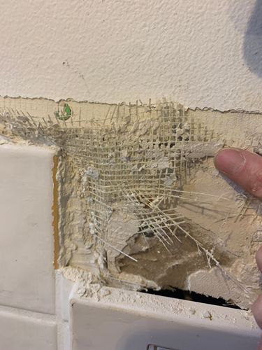 IMG_4321.jpeg IMG_4321.jpeg