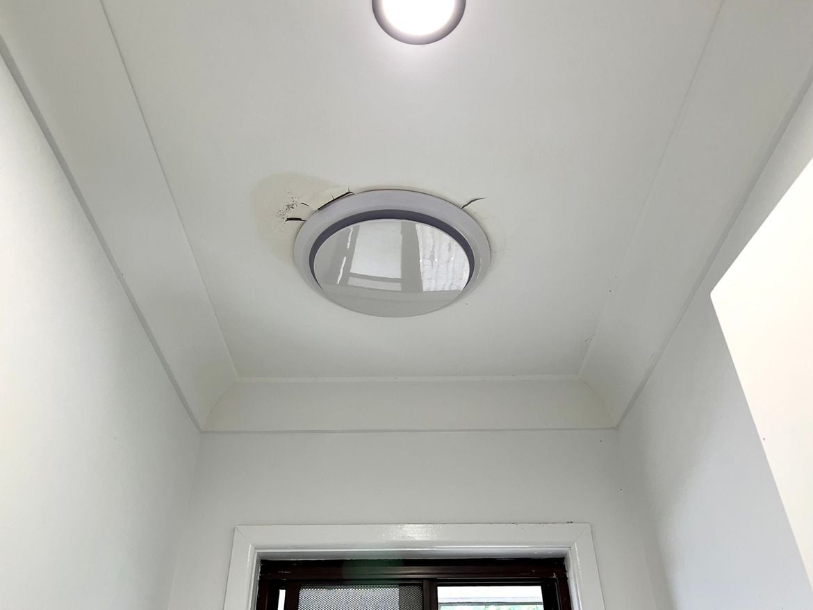 IMG_8595.jpg IMG_8595.jpg