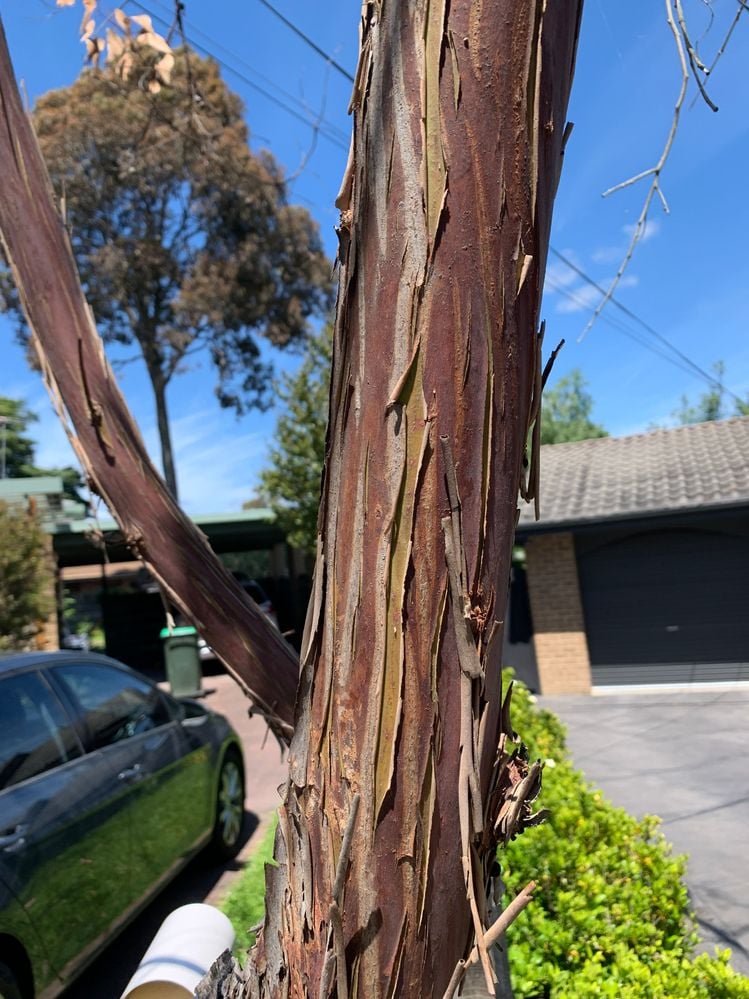 IMG_4328.JPG IMG_4328.JPG