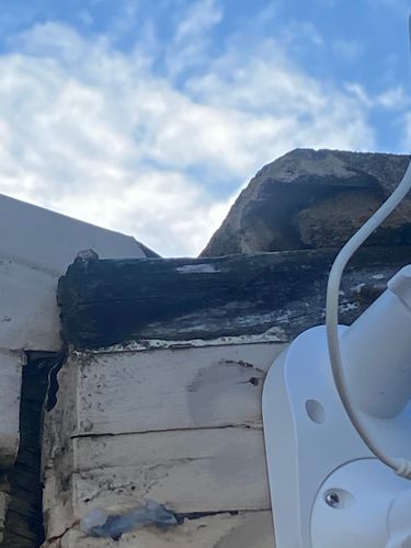 IMG_9400.jpeg IMG_9400.jpeg