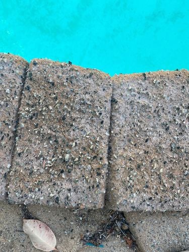 IMG_2665.jpeg IMG_2665.jpeg