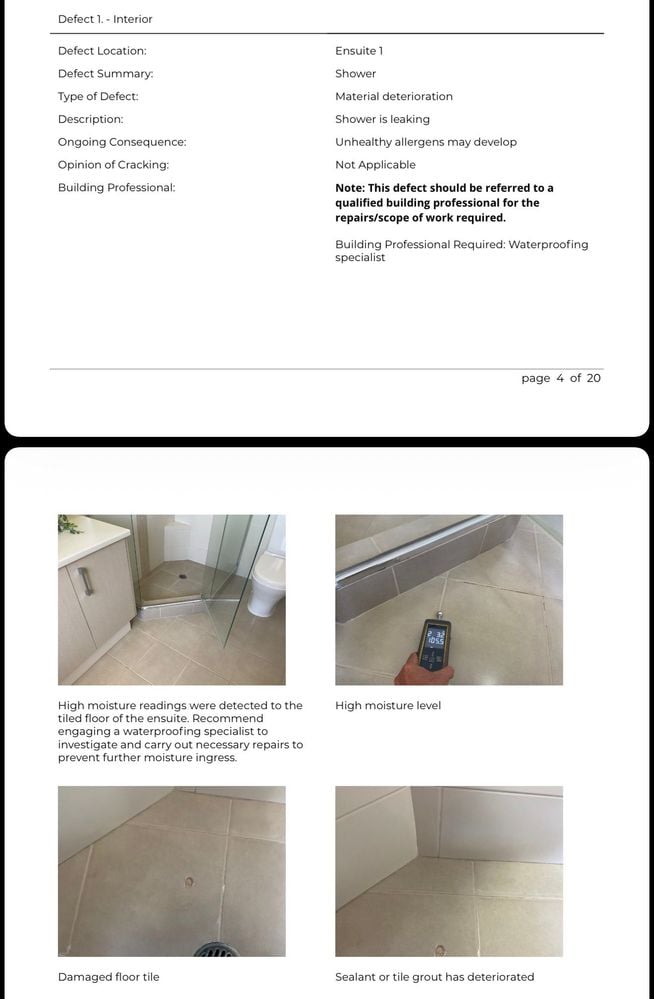 IMG_0536.jpeg IMG_0536.jpeg