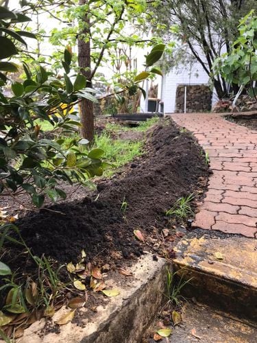 106 01-10-2022.jpg 106 01-10-2022.jpg