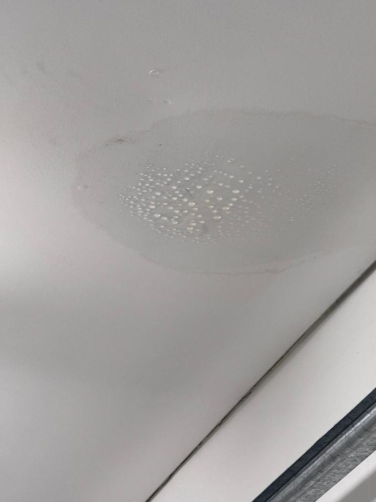 IMG-20250702-WA0001.jpg IMG-20250702-WA0001.jpg