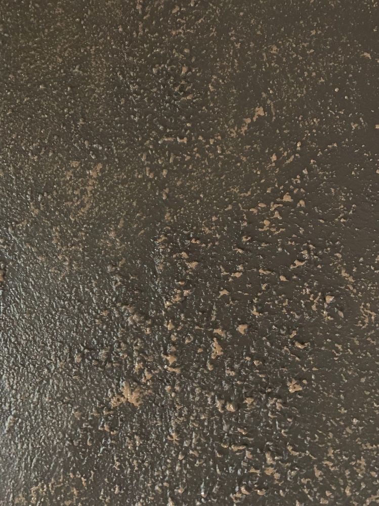 IMG_4942.JPEG IMG_4942.JPEG