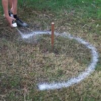 AHW26343.jpg AHW26343.jpg