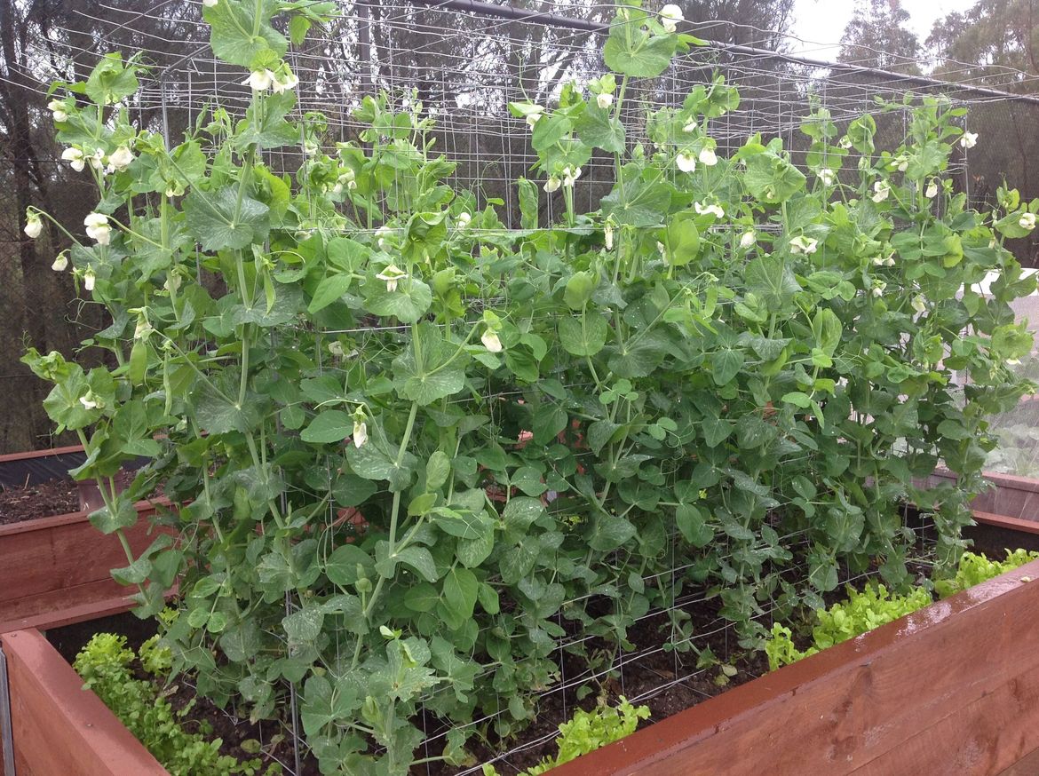 IMG_6578.JPG IMG_6578.JPG