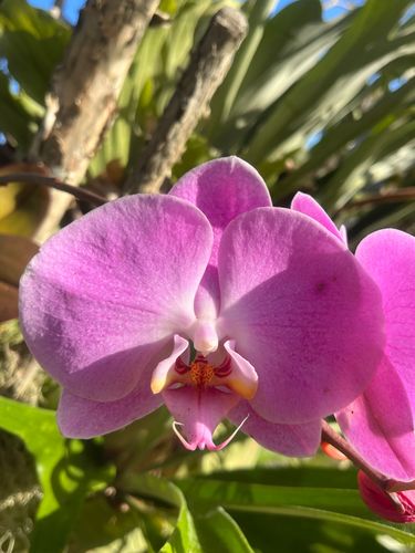 IMG_8698.jpeg IMG_8698.jpeg