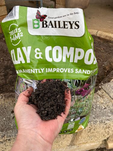 IMG_0749.jpeg IMG_0749.jpeg