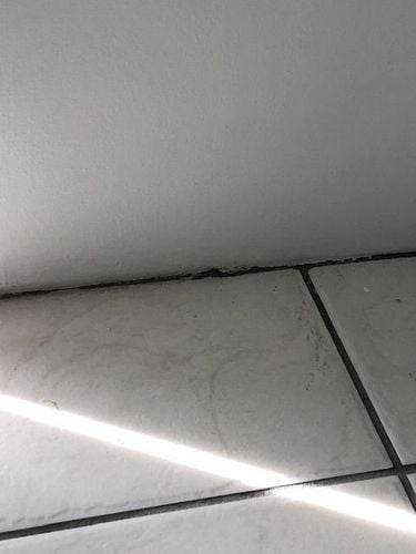 IMG_6228.jpeg IMG_6228.jpeg