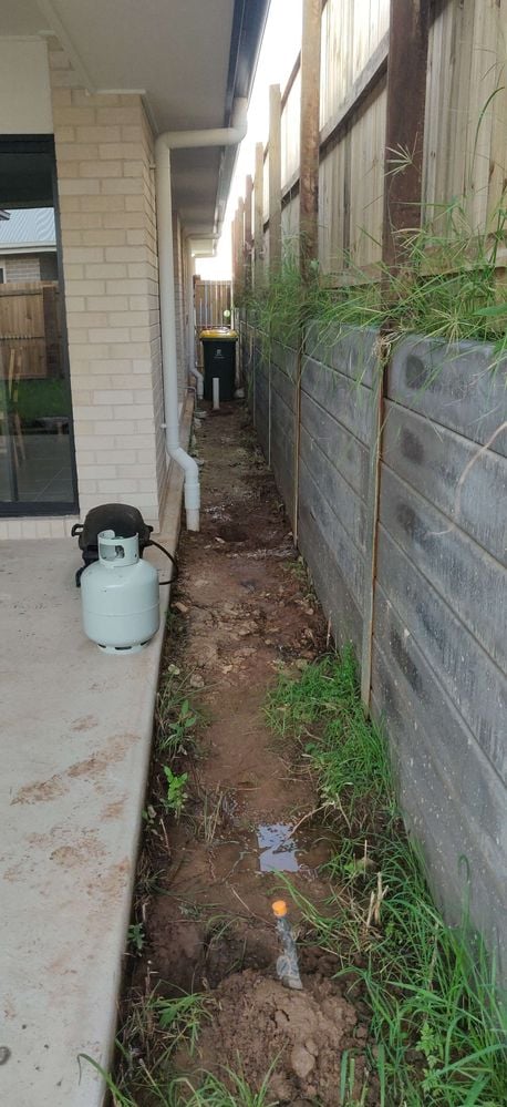 IMG_20240103_184338.jpg IMG_20240103_184338.jpg