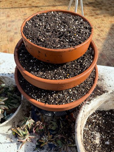 IMG_1242.jpeg IMG_1242.jpeg