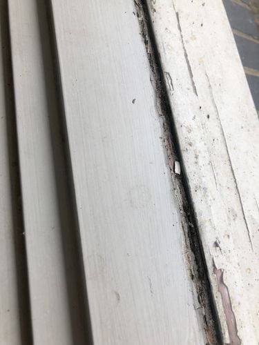 89B1FADF-B9BD-4C35-AC64-1FD02D2BE463.jpeg 89B1FADF-B9BD-4C35-AC64-1FD02D2BE463.jpeg