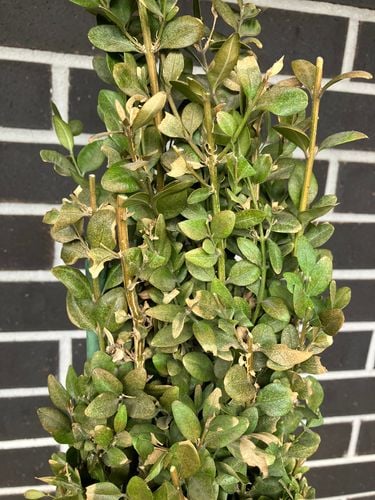 IMG_1494.jpeg IMG_1494.jpeg