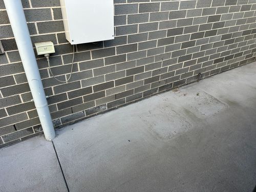 IMG_4678.jpeg IMG_4678.jpeg