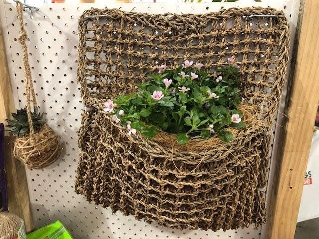 image 1.jpg image 1.jpg