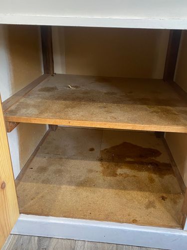 8E40B86B-9880-4ED9-8CF6-70CF6470C980.jpeg 8E40B86B-9880-4ED9-8CF6-70CF6470C980.jpeg