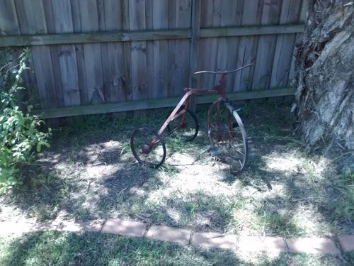 IMG_20191029_142435665.jpg IMG_20191029_142435665.jpg