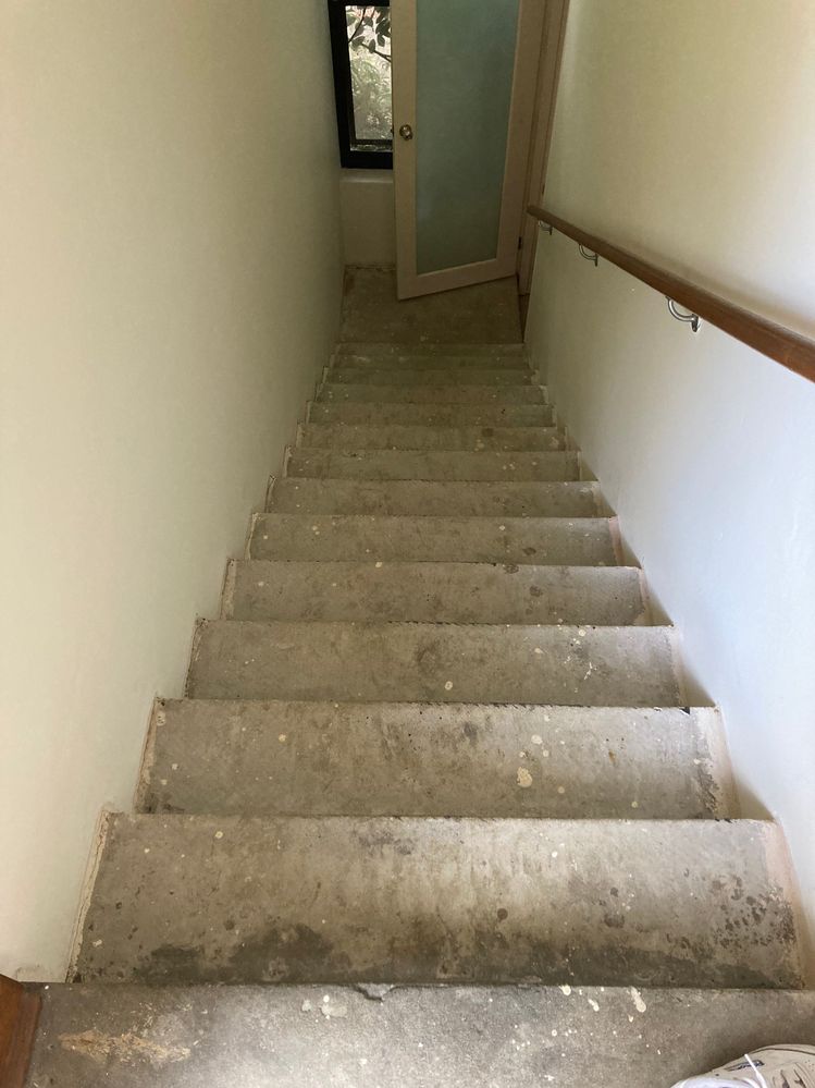 IMG_2808.jpeg IMG_2808.jpeg