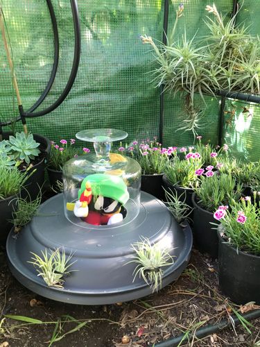 EABDD316-8159-4F23-8E6A-58CCB9E84EC7.jpeg EABDD316-8159-4F23-8E6A-58CCB9E84EC7.jpeg