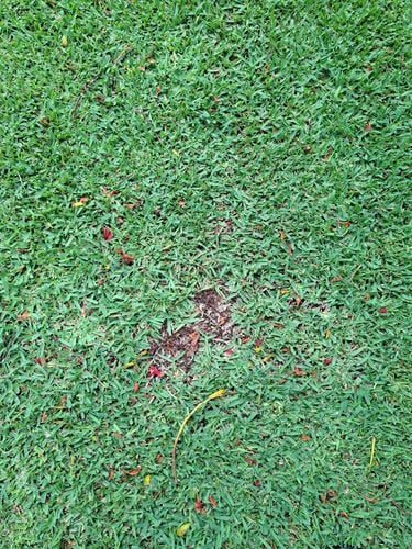 1000018463.jpg 1000018463.jpg