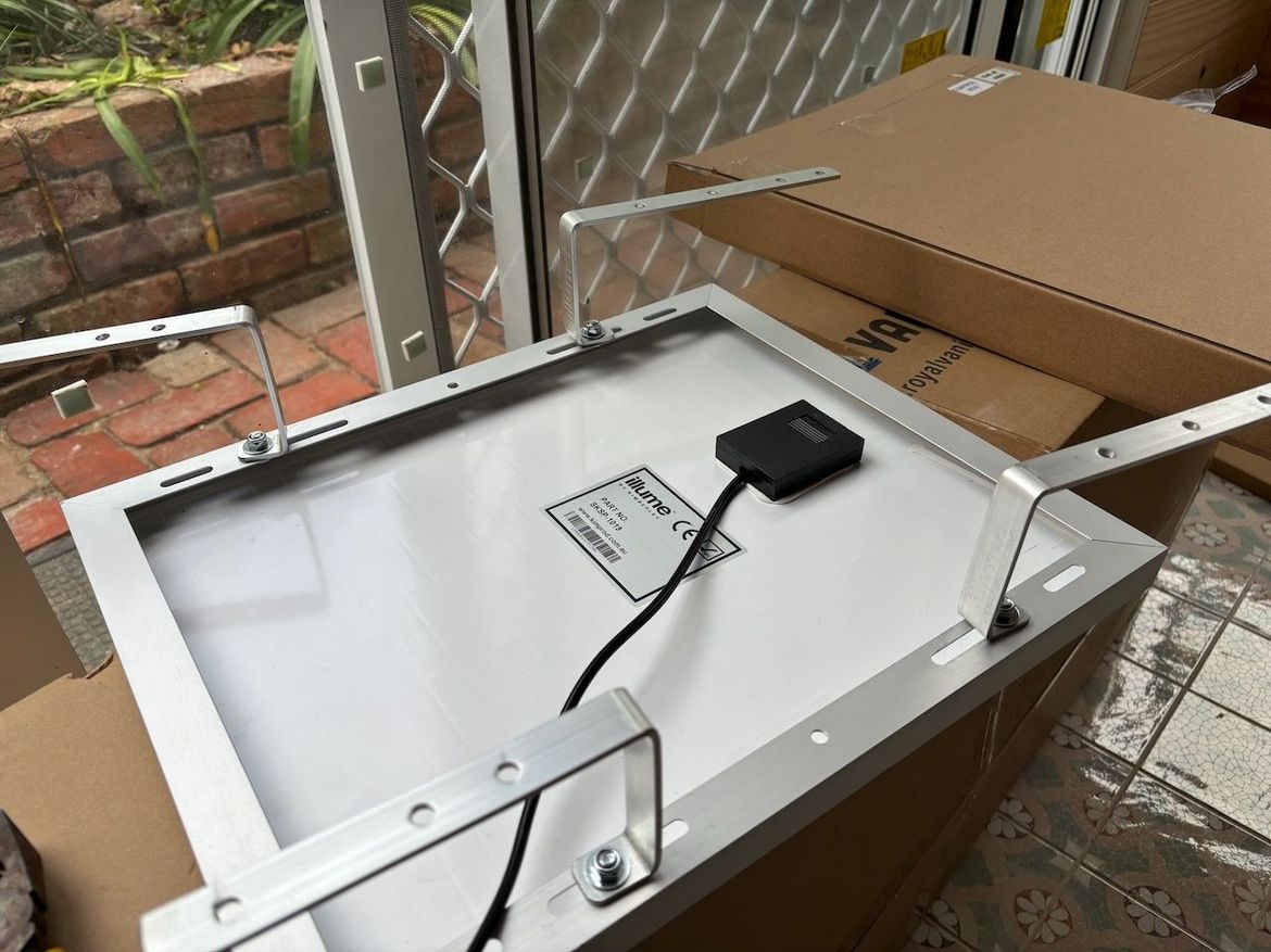 IMG_8251.jpeg IMG_8251.jpeg