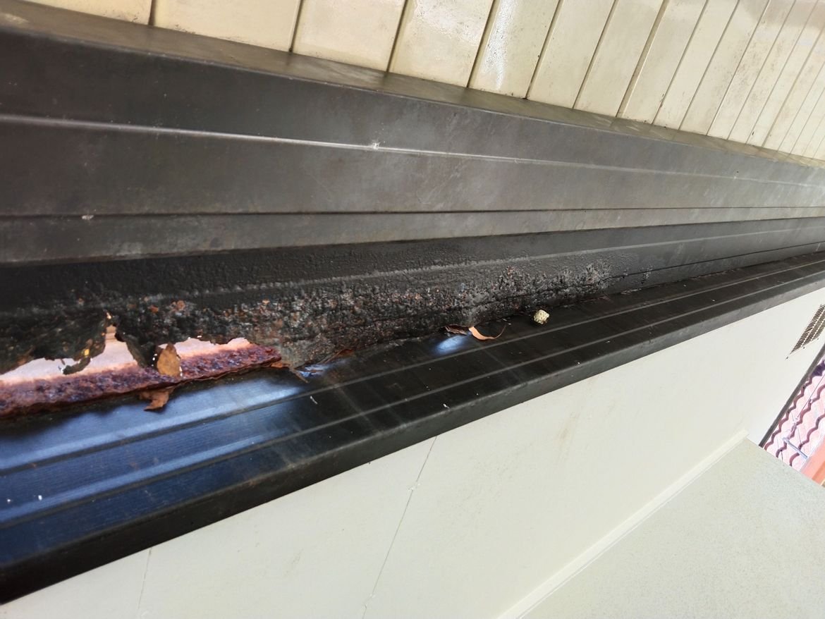 IMG_20241103_134540.jpg IMG_20241103_134540.jpg