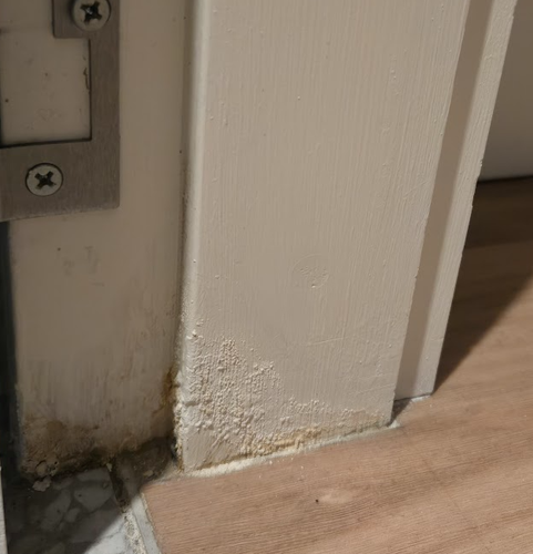 Yangaz_1-1744542372586.png Yangaz_1-1744542372586.png