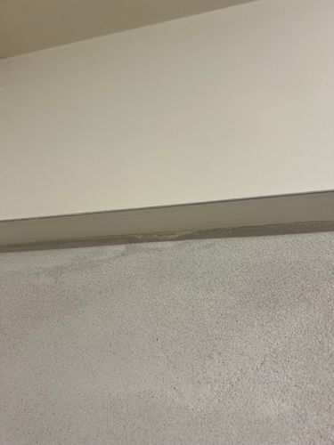 IMG_0125.jpeg IMG_0125.jpeg