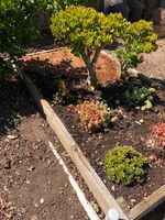 IMG_7207.JPG IMG_7207.JPG