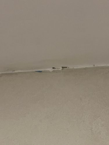 IMG_4724.jpeg IMG_4724.jpeg