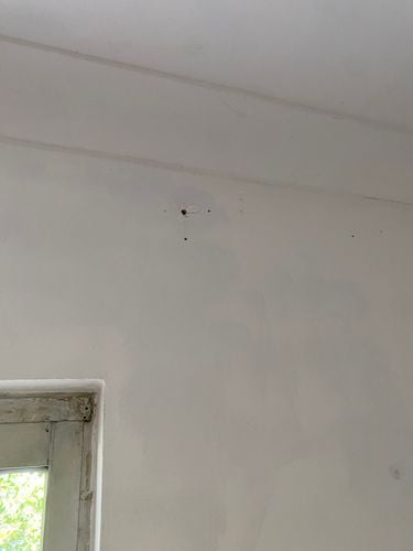 IMG_9103.jpeg IMG_9103.jpeg