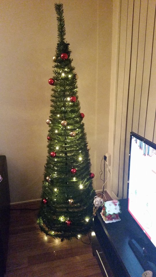 pop-up tree.jpg pop-up tree.jpg