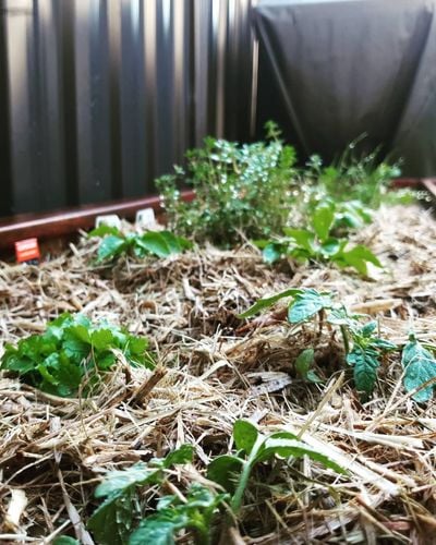 IMG_20201111_101738_064.jpg IMG_20201111_101738_064.jpg