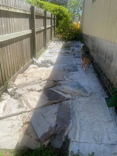 IMG_6455.jpeg IMG_6455.jpeg