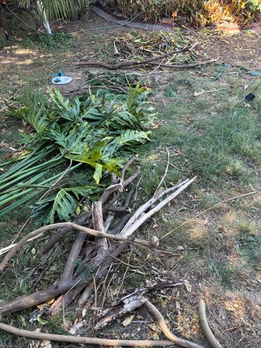 IMG_1959.jpeg IMG_1959.jpeg