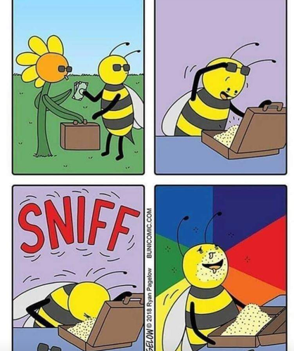 bee joke.png bee joke.png